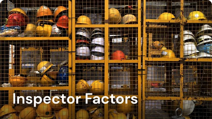Inspector Factors